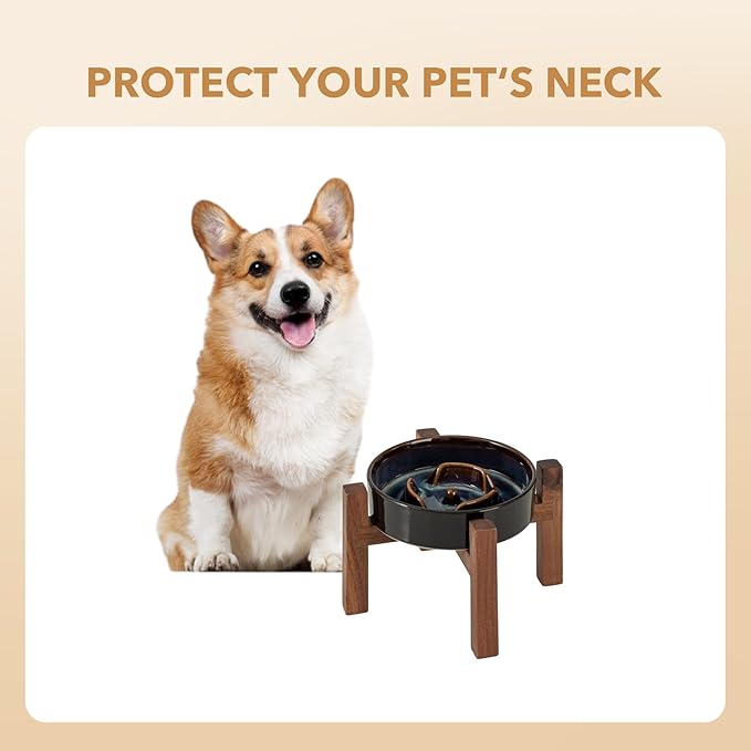 Ceramic 6.1inch Raised Slow Feeder Dog Bowl Set, Elevated Acacia Wood Stand for Small Dog and Cat, Slow Dish, Stop Bloat(Single Bowl+ Stand, Starry Sky)
