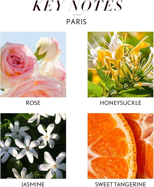 JCLOUD Paris Essential Oil for Diffuser - Hotel Diffuser Oil & Home Luxury Scents - Pure Aromatherapy Diffuser Oil with Rose, Jasmine and Honeysuckle, Natural & Pet Safe - 100mL