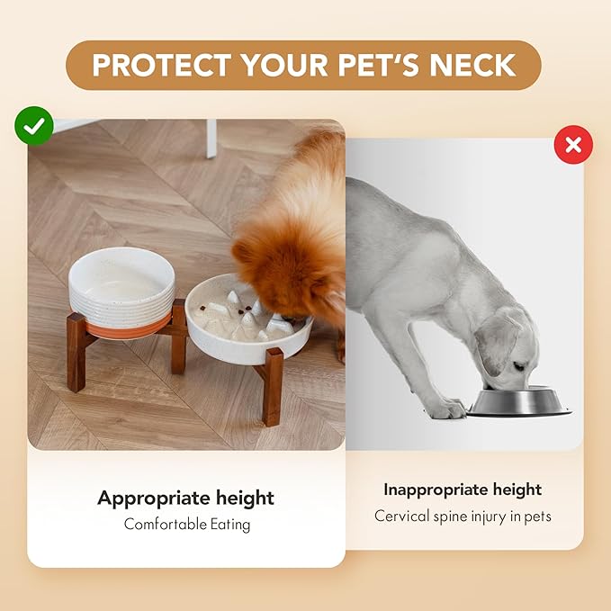 Ceramic Raised Slow Feeder Dog Food and Water Bowl Set for Fast Eaters, Elevated 6.1inch Bowl and 7.3inch Dish with Acacia Wood Stand for Small and Medium Dogs (2 x Vanilla White+ Stand)