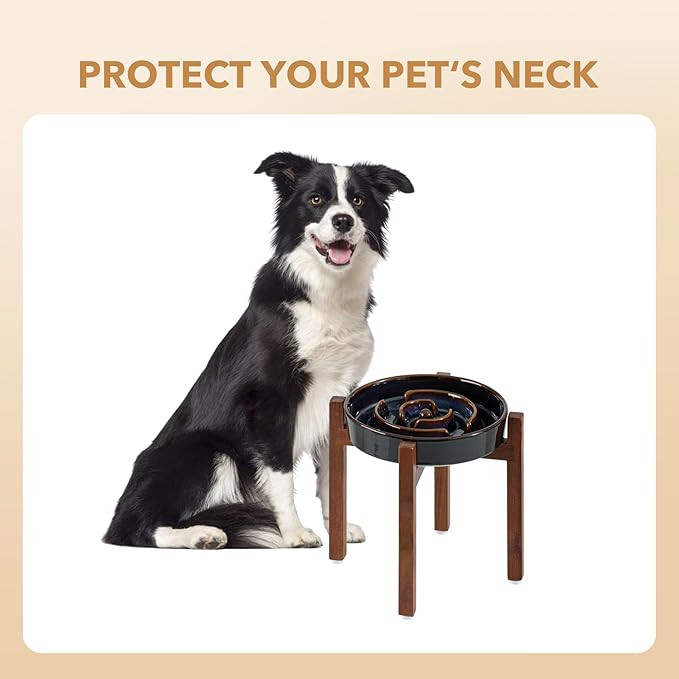 Ceramic 8.2inch Raised Slow Feeder Dog Bowl Set, Elevated Acacia Wood Stand for Medium and Large Dog, Slow Dish, Stop Bloat(Single Bowl+ Stand, Starry Sky)