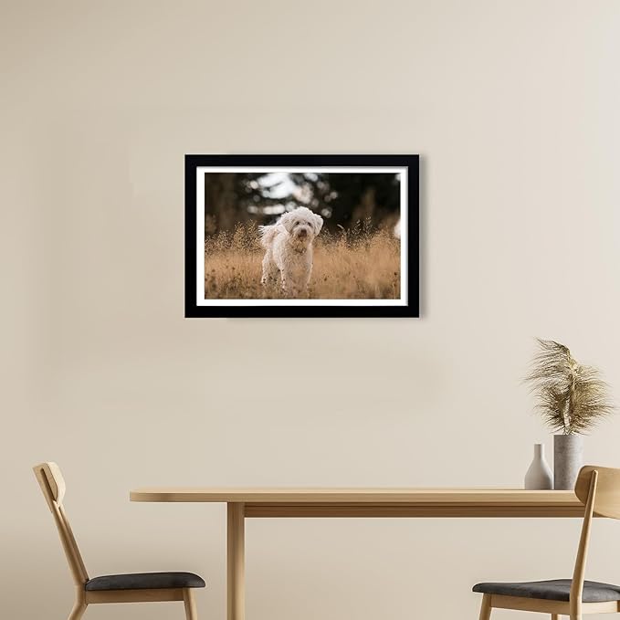 12x18 Picture Frame Set of 5, Black Poster Frame, Display Pictures 11 x 17 with Mat or 12 x 18 Without Mat for Horizontal or Vertical Wall Mounting, Wall Gallery Frame