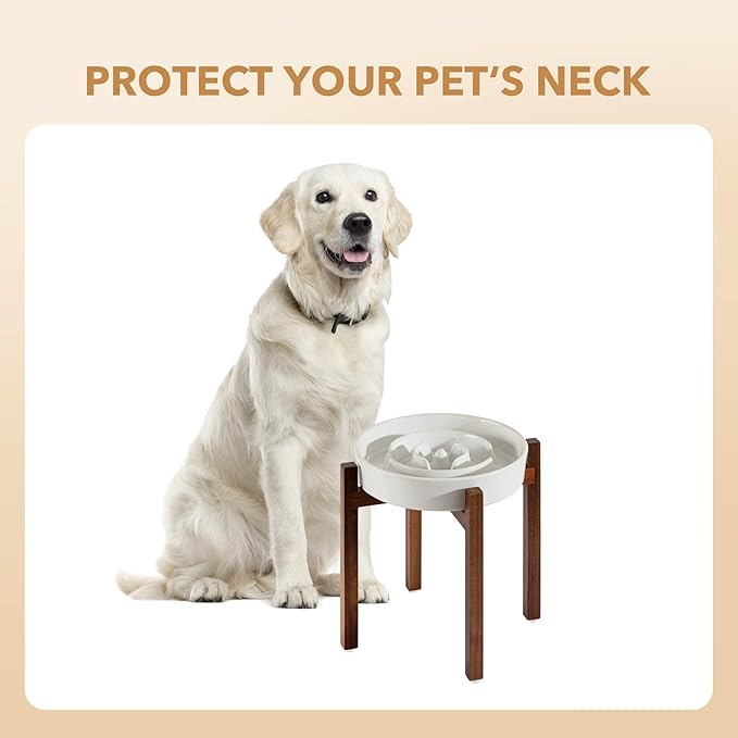Ceramic 9.5inch Raised Slow Feeder Dog Bowl Set, Elevated Acacia Wood Stand for Large Dog, Slow Dish, Preventing Choking(Single Bowl+ Stand, Reactived Glaze -White)