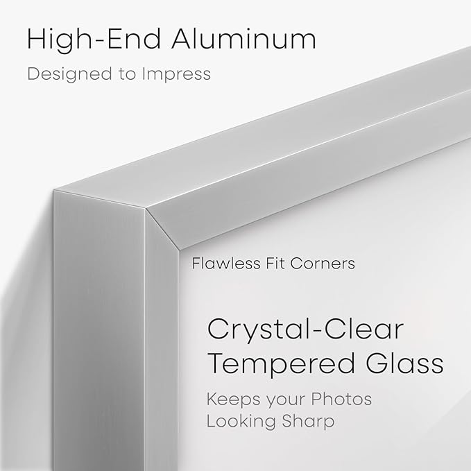 Homeforia 8.5x11 Picture Frame Silver, High End Metal 8.5 x 11 Poster Frames with Mat 6 by 8 Photo, 11x8.5 Frame Matted to 6x8 Print, 8.5by11 Wall or Tabletop Frame, Tempered Glass, Wall Kit, Set of 1