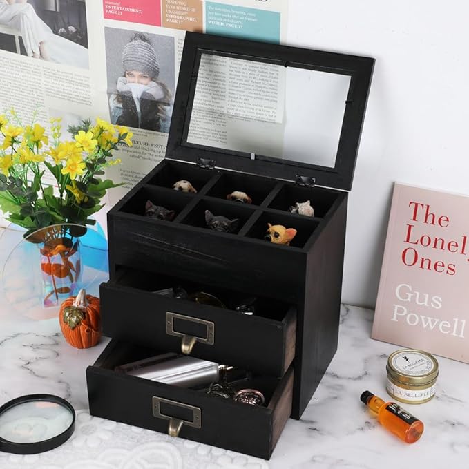 Wooden Storage Box Wooden Desk Organizer with 2 Drawers and 6 Grids Apothecary Drawers Small Wooden Drawers Small Craft Storage Containers Jewelry Holder for women(Glass Black02)