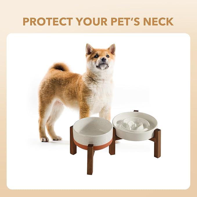 Ceramic Raised Slow Feeder Dog Bowl Set, Elevated 6.1inch Bowl and 7.3inch Dish with Acacia Wood Stand for Small and Medium Dogs(2 x Vanilla White+ Stand)