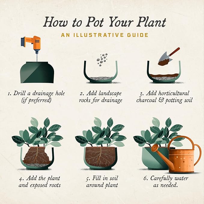 ARBORA 19" Whiskey Barrel Polyresin Indoor and Outdoor Planter with Textured Wood Finish - Durable, Weatherproof, Lightweight, Large Plant Pot for Patio, Garden, Deck, Entryway