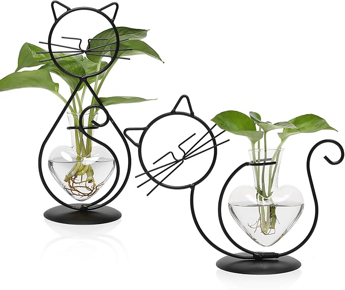 Plant Terrarium Plants Propagation Station Cat Lover Gifts for Women Home Office Decor Cat Desk Accessories