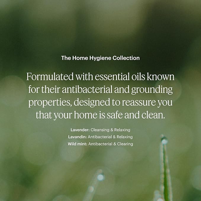 Aera Home Hygiene Lavender and Bergamot - Essential Oil for Home - Relaxing Fragrance - Notes of Lavender, Lavandin and Wild Mint - Scent Refill - Works with The Aera Diffuser