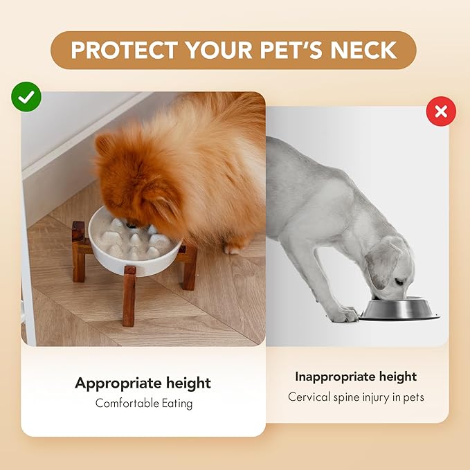 Ceramic 6.1inch Raised Slow Feeder Dog Bowl Set, Elevated Acacia Wood Stand for Small Dogs and Cats, Slow Pet Dish for Fast Eaters, Helps Stop Bloat(1 Bowl & Stand, Vanilla White)