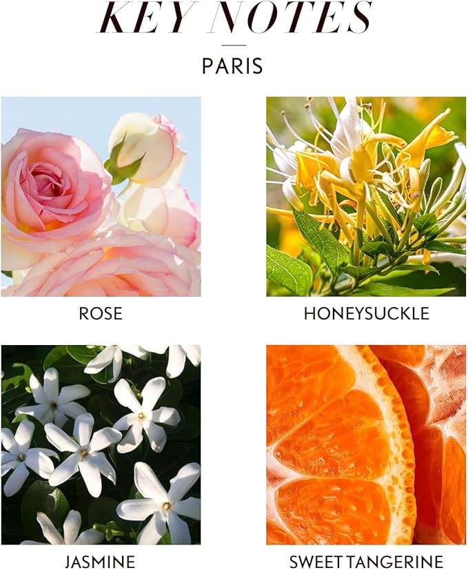 JCLOUD Paris Essential Oil for Diffuser - Hotel Diffuser Oil & Home Luxury Scents - Pure Aromatherapy Diffuser Oil with Rose, Jasmine and Honeysuckle, Natural & Pet Safe - 100mL
