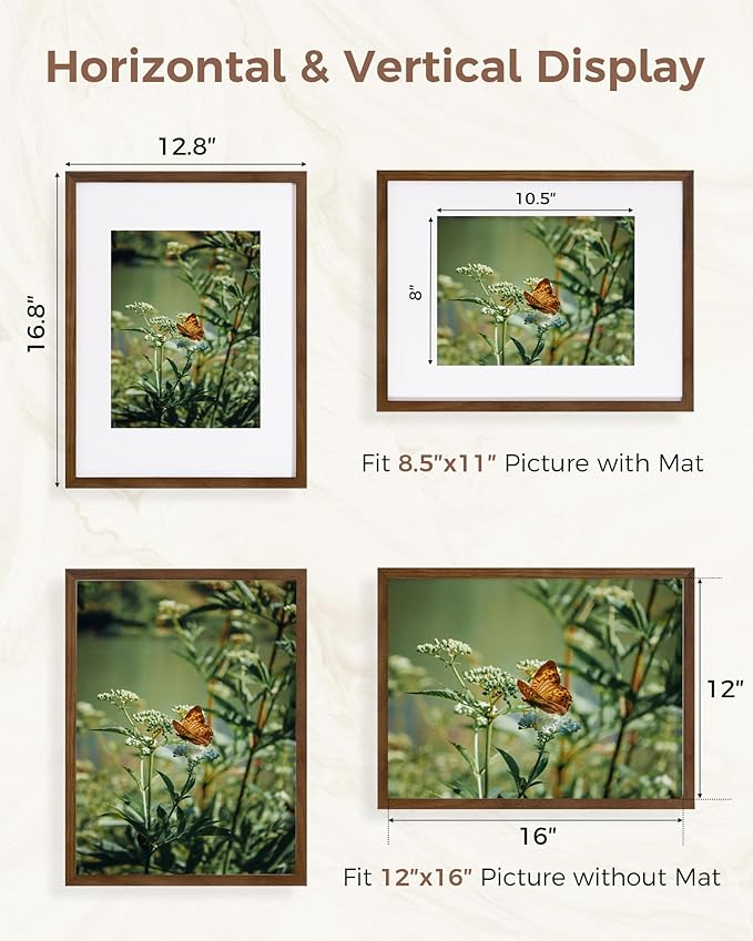 Marsmiles 12x16 Wooden Picture Frame, USA-Sourced Natural Oak Solid Wood Photo Frame with Plexiglass for Display Pictures 8.5x11 with Mat or 12x16 without Mat, Walnut, 2 Pack