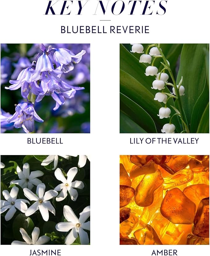 JCLOUD Bluebell Reverie Essential Oil for Diffuser - Hotel Diffuser Oil & Home Luxury Scents - Pure Aromatherapy Diffuser Oil with Bluebell, Jasmine and Amber, Natural & Pet Safe - 100mL
