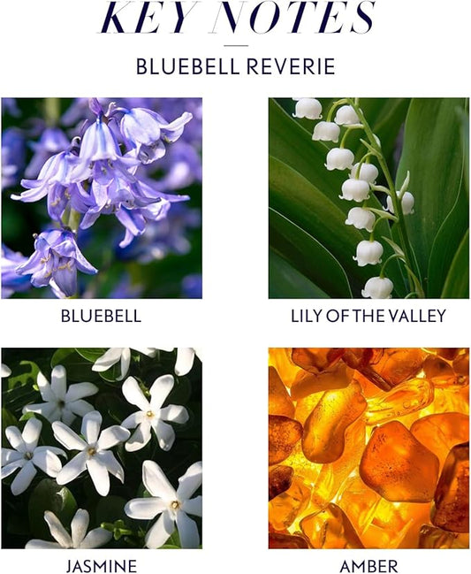 JCLOUD Bluebell Reverie Essential Oil for Diffuser - Hotel Diffuser Oil & Home Luxury Scents - Pure Aromatherapy Diffuser Oil with Bluebell, Jasmine and Amber, Natural & Pet Safe - 100mL