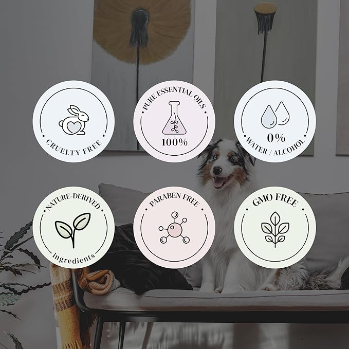 Black Bamboo Essential Oils for Diffusers for Home, Nature-derived Bamboo Essential Oil, Long-Lasting & Family-Friendly Diffuser Oils Scents, IFRA Certified, Cold Air & Ultrasonic - 16 oz