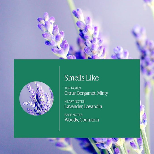 Aera Home Hygiene Lavender and Bergamot - Essential Oil for Home - Relaxing Fragrance - Notes of Lavender, Lavandin and Wild Mint - Scent Refill - Works with The Aera Diffuser