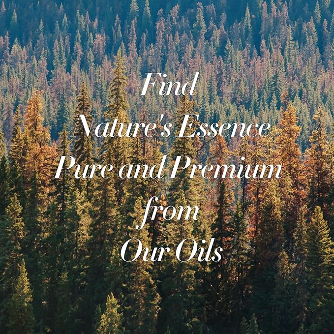 JCLOUD My Way Essential Oil for Diffuser - Hotel Diffuser Oil & Home Luxury Scents – Pure Aromatherapy Diffuser Oil with Bergamot, Tuberose & Vanilla, Natural & Pet Safe – 100mL